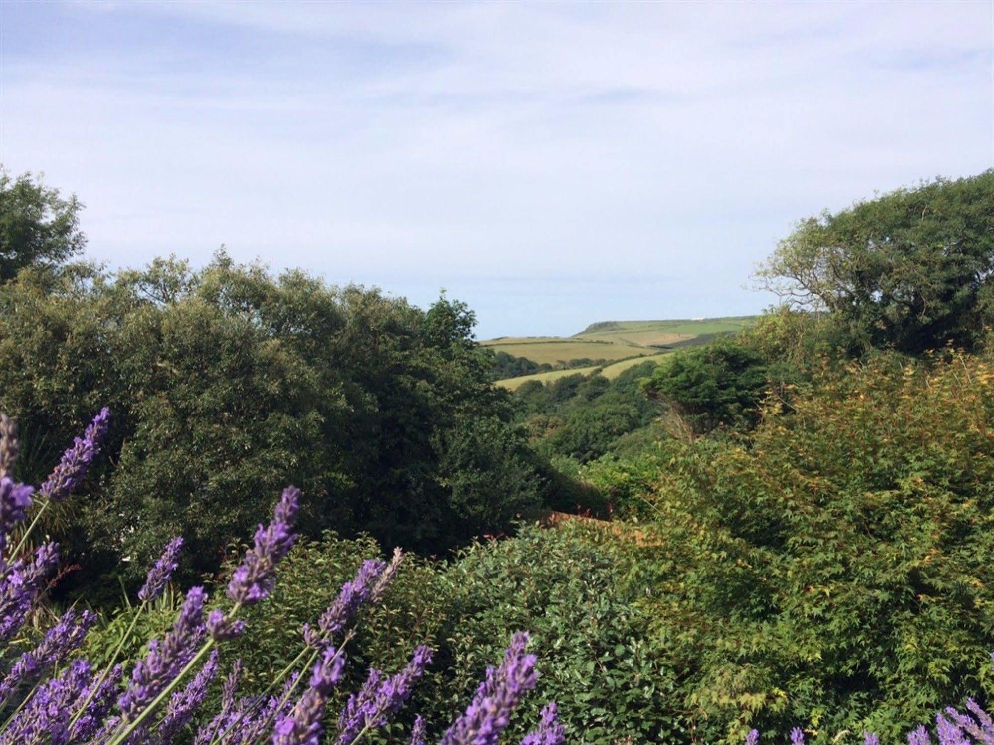 Boscastle House Bed and Breakfast Buitenkant foto